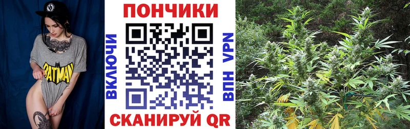 Купить закладку Гашиш  Кокаин  Меф  Качканар