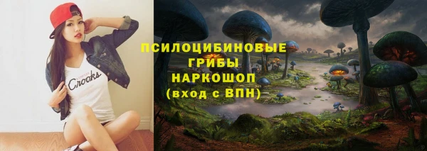 каннабис Гусиноозёрск