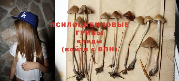 гашишное масло Гусев