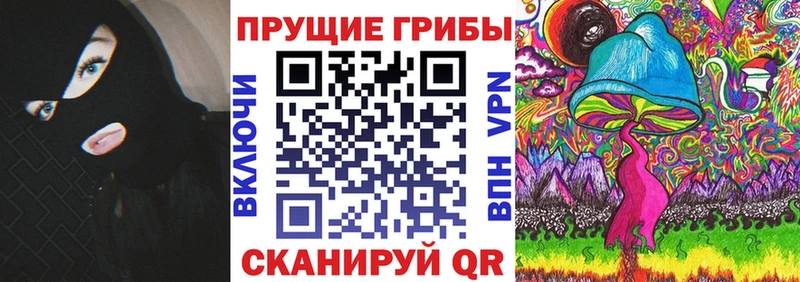 Псилоцибиновые грибы Cubensis  Купить закладки  Качканар 